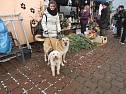 Weihnachtsmarkt im Tierheim (Foto: privat)