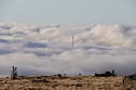 Brocken am 30. Dezember 2015 (Foto: vgf)