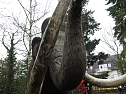 Das Mammut ist umgezogen (Foto: nnz)