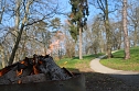 Der Fr&uuml;hling hat schon lange Einzug gehalten im Park Hohenrode (Foto: Angelo Glashagel)