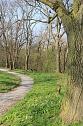 Der Fr&uuml;hling hat schon lange Einzug gehalten im Park Hohenrode (Foto: Angelo Glashagel)