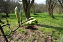 Der Fr&uuml;hling hat schon lange Einzug gehalten im Park Hohenrode (Foto: Angelo Glashagel)