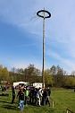 Maibaum in W&uuml;lfingerode gesetzt (Foto: Berti Voigt)
