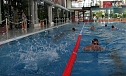 Trainingsstart im Schwimmverein (Foto: J. Piper) Trainingsstart im Schwimmverein (Foto: J. Piper)