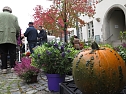 Herbstmarkt in Nordhausen (Foto: nnz)