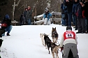 Schlittenhunderennen in Hasselfelde (Foto: Peter Blei)