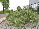 Sturm in Nordhausen (Foto: )