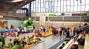 Kindergartensporttag in der Wiedigsburghalle (Foto: Angelo Glashagel)