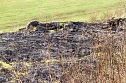 Fl&auml;chenbrand bei Sollstedt (Foto: Bernd Peter)