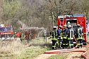 Fl&auml;chenbrand bei Sollstedt (Foto: Bernd Peter)