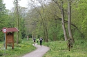 1. Heinrich-Siesmayer-Ged&auml;chtnislauf im Park Hohenrode (Foto: Angelo Glashagel)