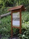 Naturschutz im Schumannstal (Foto: Forstam Bleicherode-S&uuml;dharz)