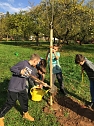 Ein Kind - ein Baum - Pflanzaktion auf dem Landgut Harz Rigi (Foto: Horizont e.V.)