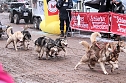 Schlittenhunderennen in Pullmann City II (Foto: Peter Blei)