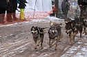 Schlittenhunderennen in Pullmann City II (Foto: Peter Blei)