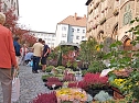 Herbstmarkt in Nordhausen (Foto: nnz)