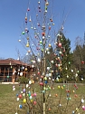 Osterbaum in S&uuml;lzhayn geschm&uuml;ckt (Foto: privat)