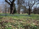 Fr&uuml;hling im Park Hohenrode (Foto: Heinz Kosolowski)