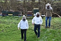 Wellness f&uuml;r die Bienen (Foto: Th. Soszynski)