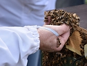 Wellness f&uuml;r die Bienen (Foto: Th. Soszynski)