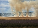 Feldbrand zwischen Gro&szlig;- und Kleinfurra (Foto: S. Dietzel)