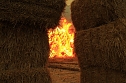 Fast 500 Strohballen brennen bei Auleben (Foto: S. Dietzel)