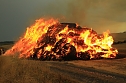 Fast 500 Strohballen brennen bei Auleben (Foto: S. Dietzel)