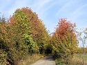 Herbstlicher Spaziergang (Foto: Peter Blei)