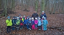 Spatzenkinder erkunden den Wald (Foto: privat) Spatzenkinder erkunden den Wald (Foto: privat)