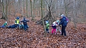 Spatzenkinder erkunden den Wald (Foto: privat) Spatzenkinder erkunden den Wald (Foto: privat)