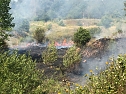 Fl&auml;chenbrand (Foto: Silvio Dietzel)