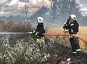 Fl&auml;chenbrand (Foto: Silvio Dietzel)