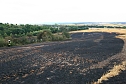 Feldbrand bei Hesserode (Foto: S. Dietzel) Feldbrand bei Hesserode (Foto: S. Dietzel)