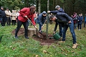 Neue Br&uuml;cke und Baum des Jahres im L&ouml;nspark.  (Foto: Susanne Schedwill)