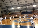 Frank Pelny zu Gast in Brasilien (Foto: Karate Do Kwai Nordhausen)