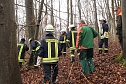 auto im Wald (Foto: S.Dietzel) auto im Wald (Foto: S.Dietzel)