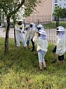 Bienen-Team (Foto: der Heinz-Sielmann-Grundschule Niedersachswerfen) Bienen-Team (Foto: der Heinz-Sielmann-Grundschule Niedersachswerfen)