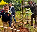 Baumpflanzung im Harz v. links Patrick Kurth- FDP-Direktkandidat; Kreischef FDP Nordhausen Claus-Peter Roßberg (Mitte) (Foto: FDP ) Baumpflanzung im Harz v. links Patrick Kurth- FDP-Direktkandidat; Kreischef FDP Nordhausen Claus-Peter Roßberg (Mitte) (Foto: FDP )