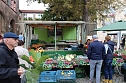 Herbstmarkt in Nordhausen  (Foto: oas)