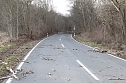 Sturmschäden auf der Landstraße (Foto: S. Dietzel) Sturmschäden auf der Landstraße (Foto: S. Dietzel)