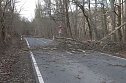 Sturmschäden auf der Landstraße (Foto: S. Dietzel) Sturmschäden auf der Landstraße (Foto: S. Dietzel)