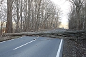 Sturmschäden auf der Landstraße (Foto: S. Dietzel) Sturmschäden auf der Landstraße (Foto: S. Dietzel)