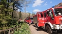 Waldbrand im Birkenmoor (Foto: Freiwillige Feuerwehr Neustadt - Osterode)