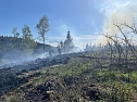 Waldbrand im Birkenmoor (Foto: Freiwillige Feuerwehr Neustadt - Osterode)