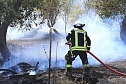 Flächenbrand zwischen Groß- und Kleinfurra (Foto: S.Dietzel) Flächenbrand zwischen Groß- und Kleinfurra (Foto: S.Dietzel)