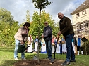 Baum des Jahres in Neustadt gepflanzt (Foto: Sandra Witzel)