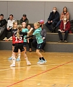 Die NSV-Handballer im Einsatz (Foto: NSV)