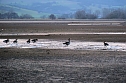 Spaziergang am Stausee Kelbra mit interessanten An- und Aussichten (Foto: P.Blei)