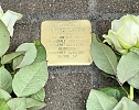 Neuer Stolperstein in der Landgrabenstra&szlig;e (Foto: Stadt Nordhausen)