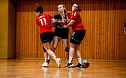Handballergebnisdient der Damen (Foto: NSV)